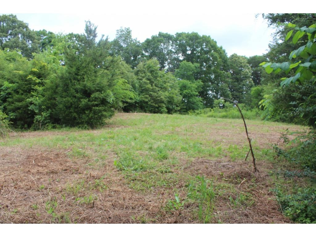 2960 Doty Chapel Road Afton, TN 37616 - Photo 9 of 12 Photo 9