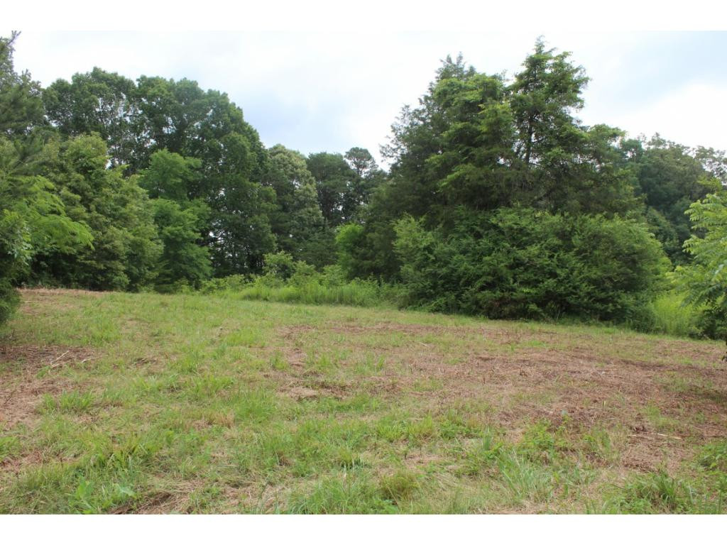 2960 Doty Chapel Road Afton, TN 37616 - Photo 10 of 12 Photo 10