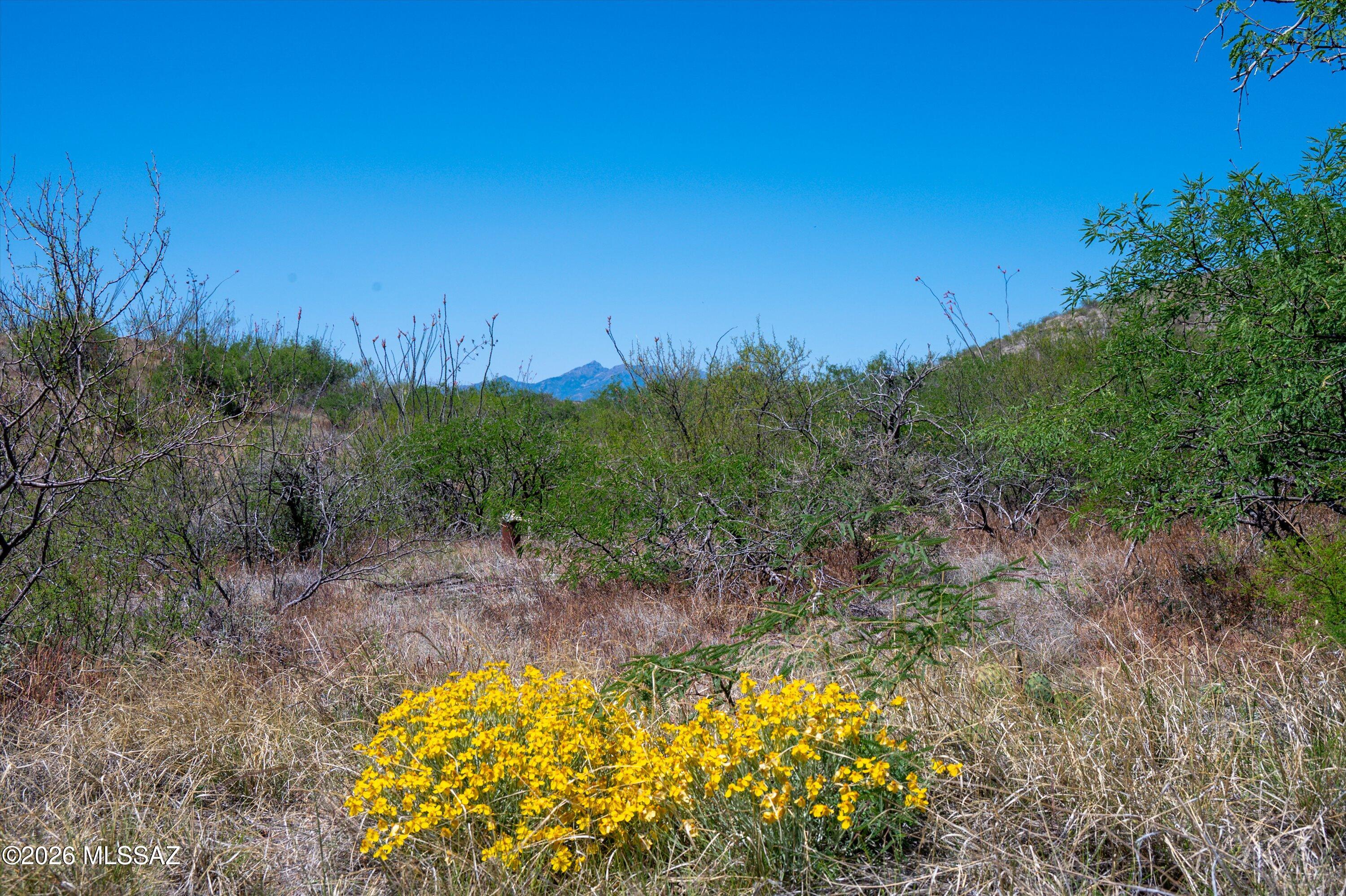 01-hiltonranch-27