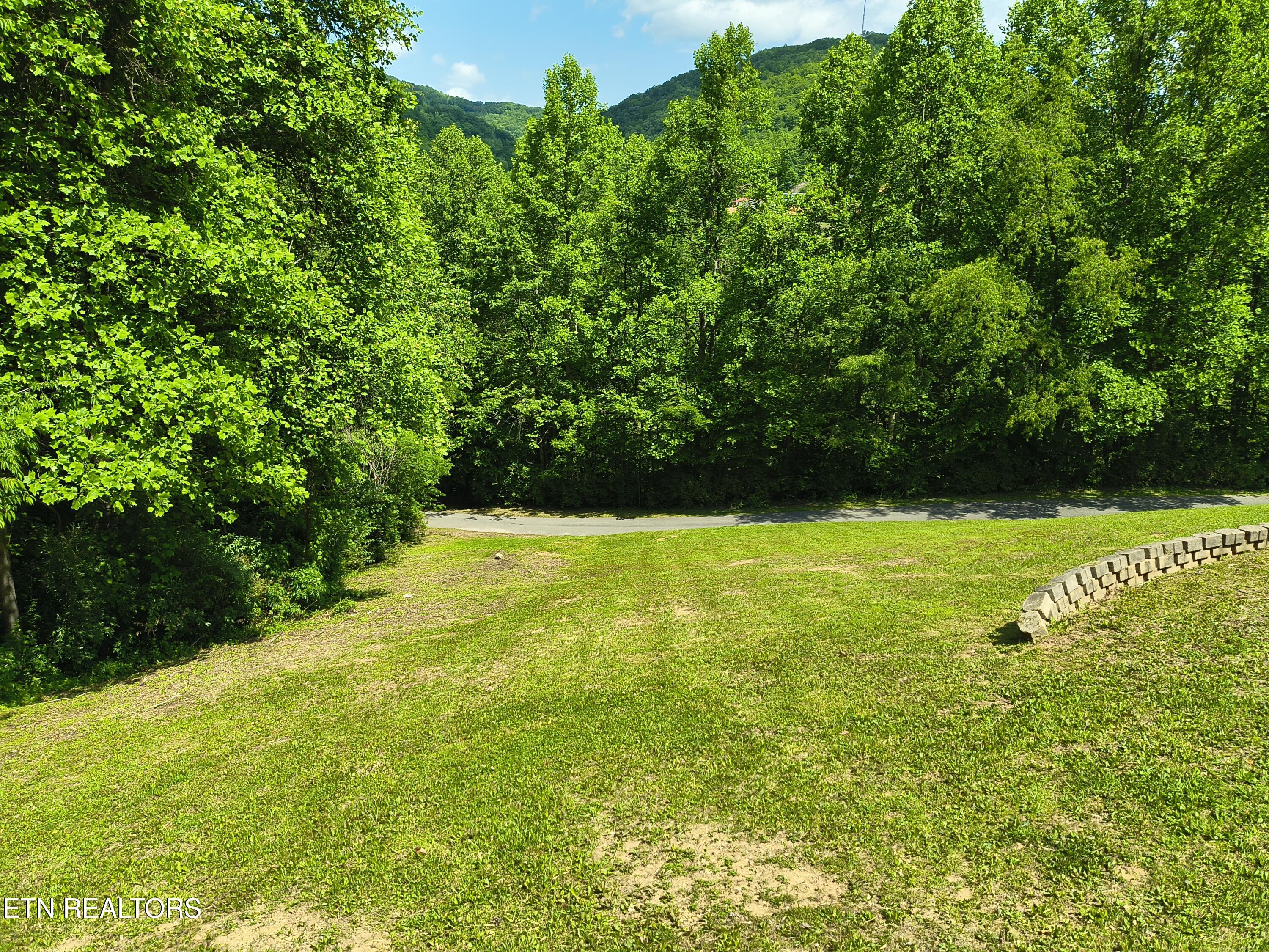 3552 Straight Fork Road Huntsville, TN 37756 - Photo 10 of 44 1000002820