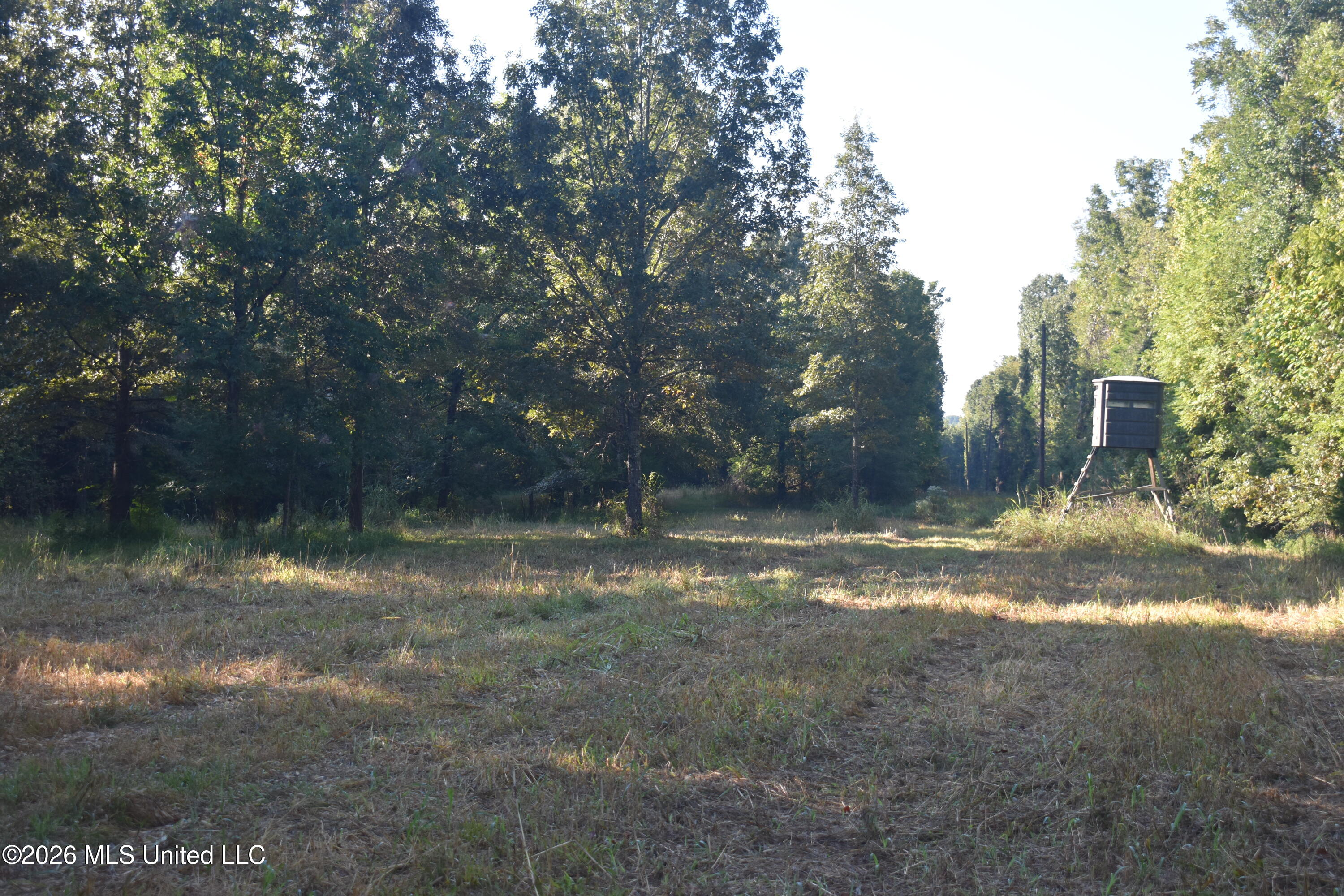 390 Old Panola Road Como, MS 38619 - Photo 11 of 71 DSC_0130