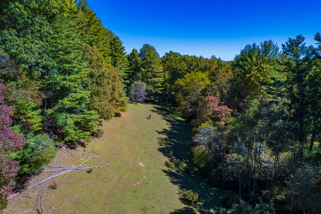 Tbd Gold Hill Road Independence, VA 24348 - Photo 21 of 21 Gallery Image 21