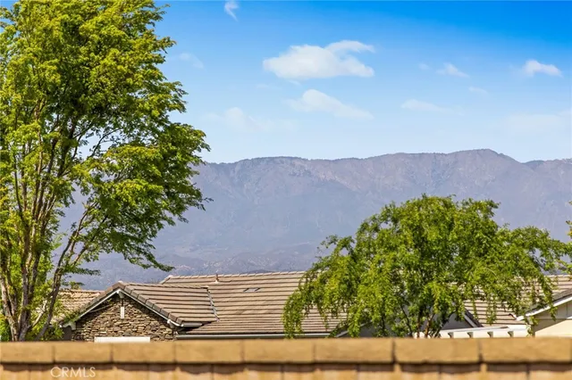 a view of a bunch of trees and bushes