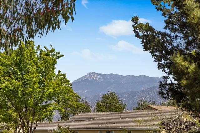 an aerial view of residential houses with a lush green forest