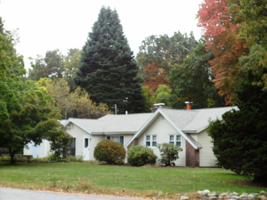 3 Orchard Road Ashland, MA 01721 - Photo 1 of 28 a view of a white house in front of a yard with plants and large trees