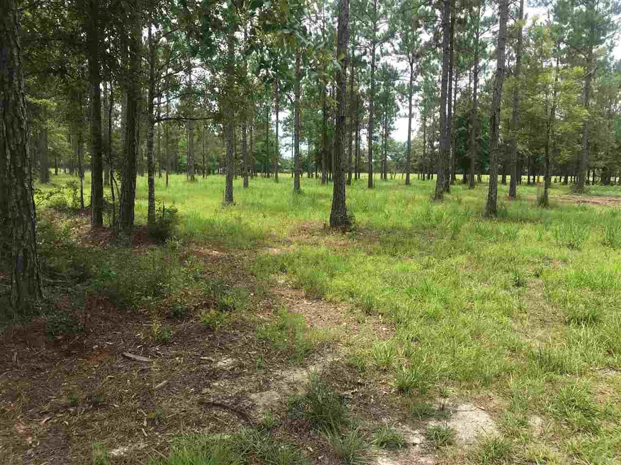 1 Melton Road Baker, FL 32531 - Photo 3 of 10