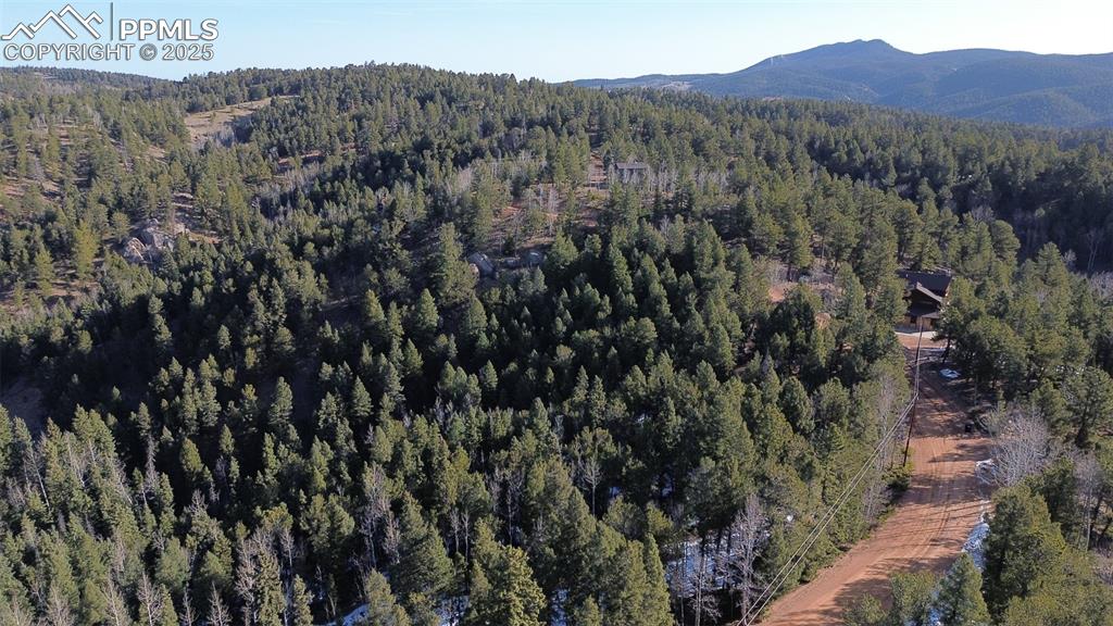 a view of a forest with a mountain in the background