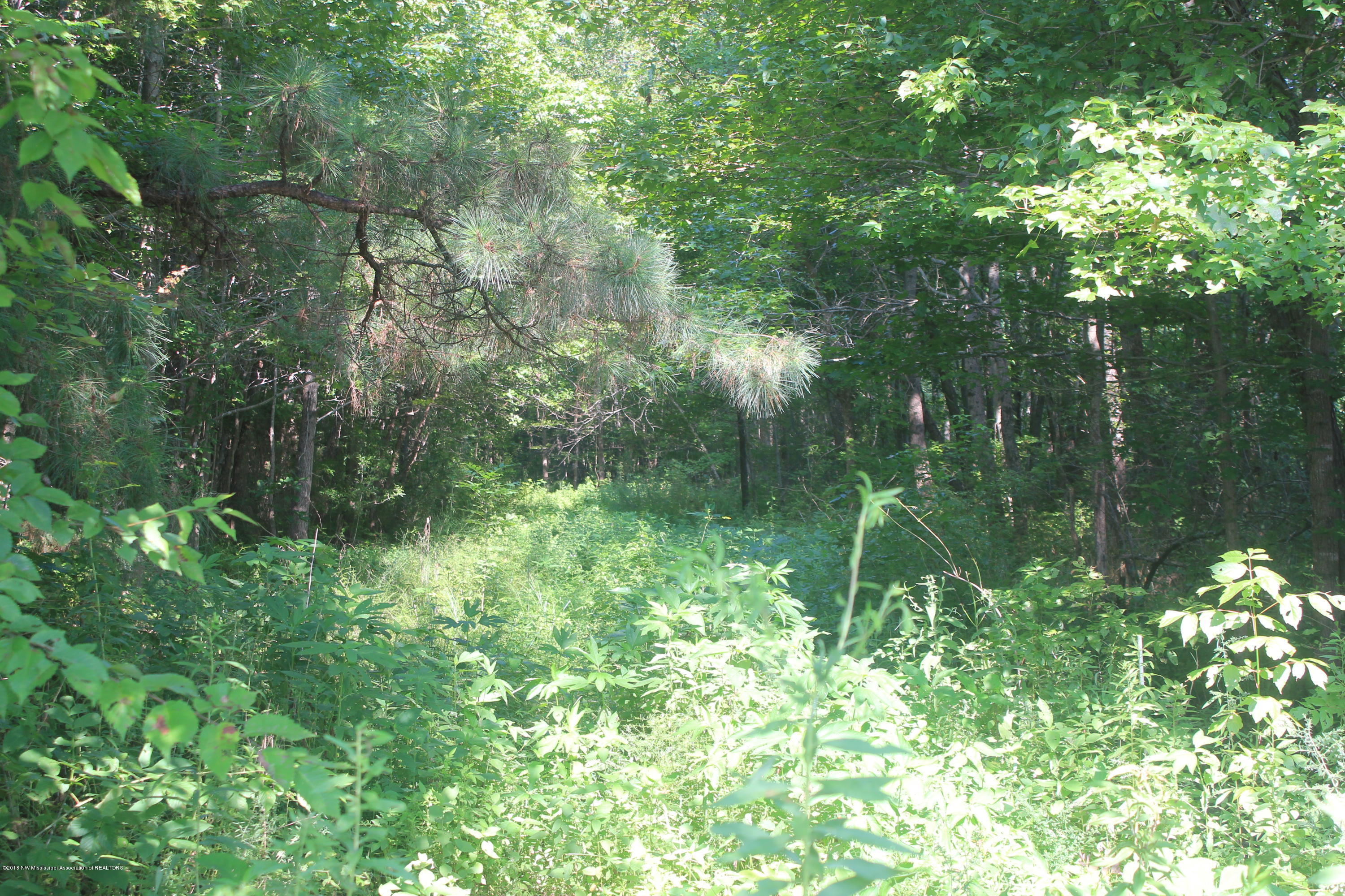 280 North Red Banks Road Red Banks, MS 38661 - Photo 3 of 23 003
