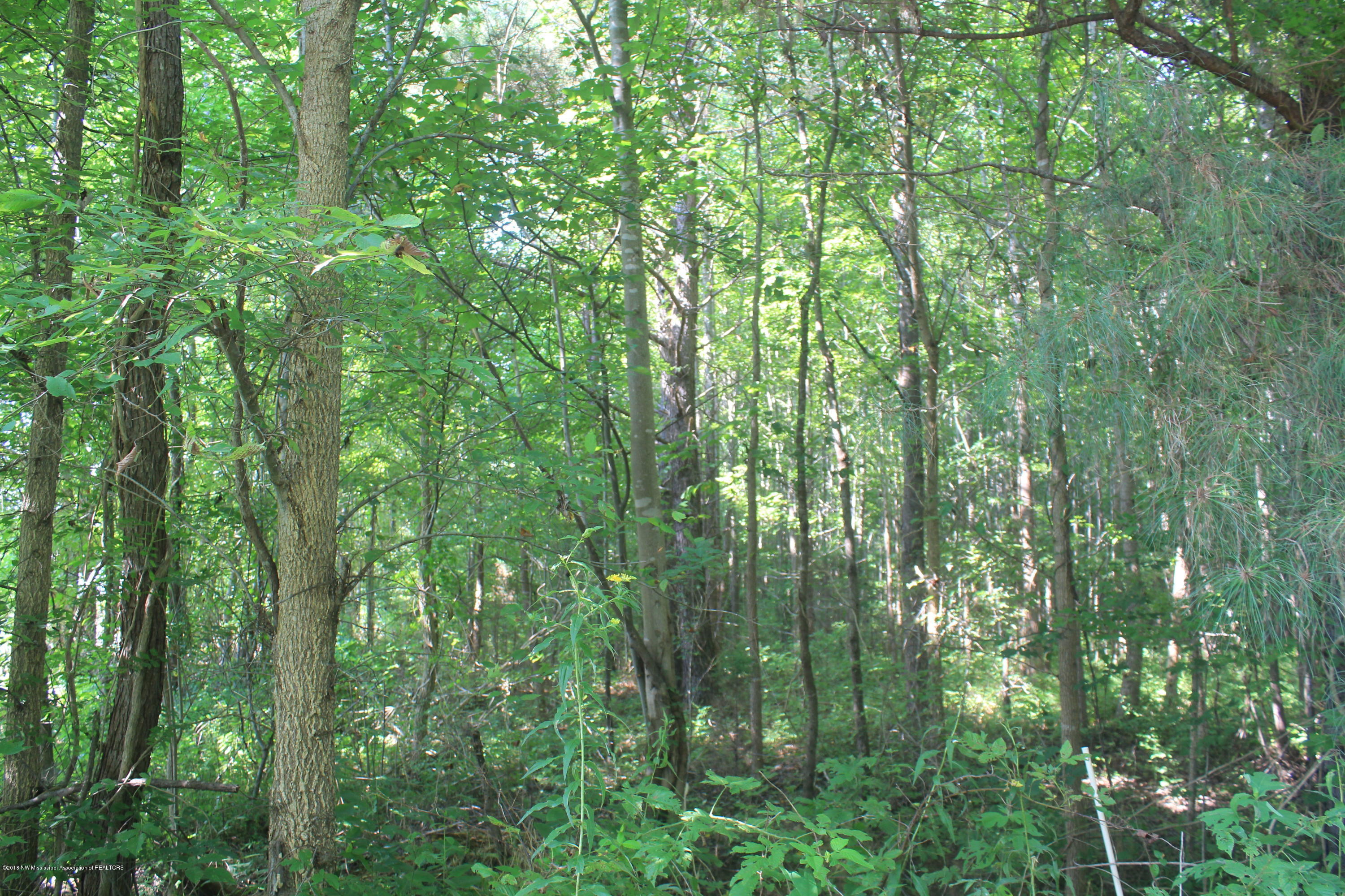 280 North Red Banks Road Red Banks, MS 38661 - Photo 4 of 23 004