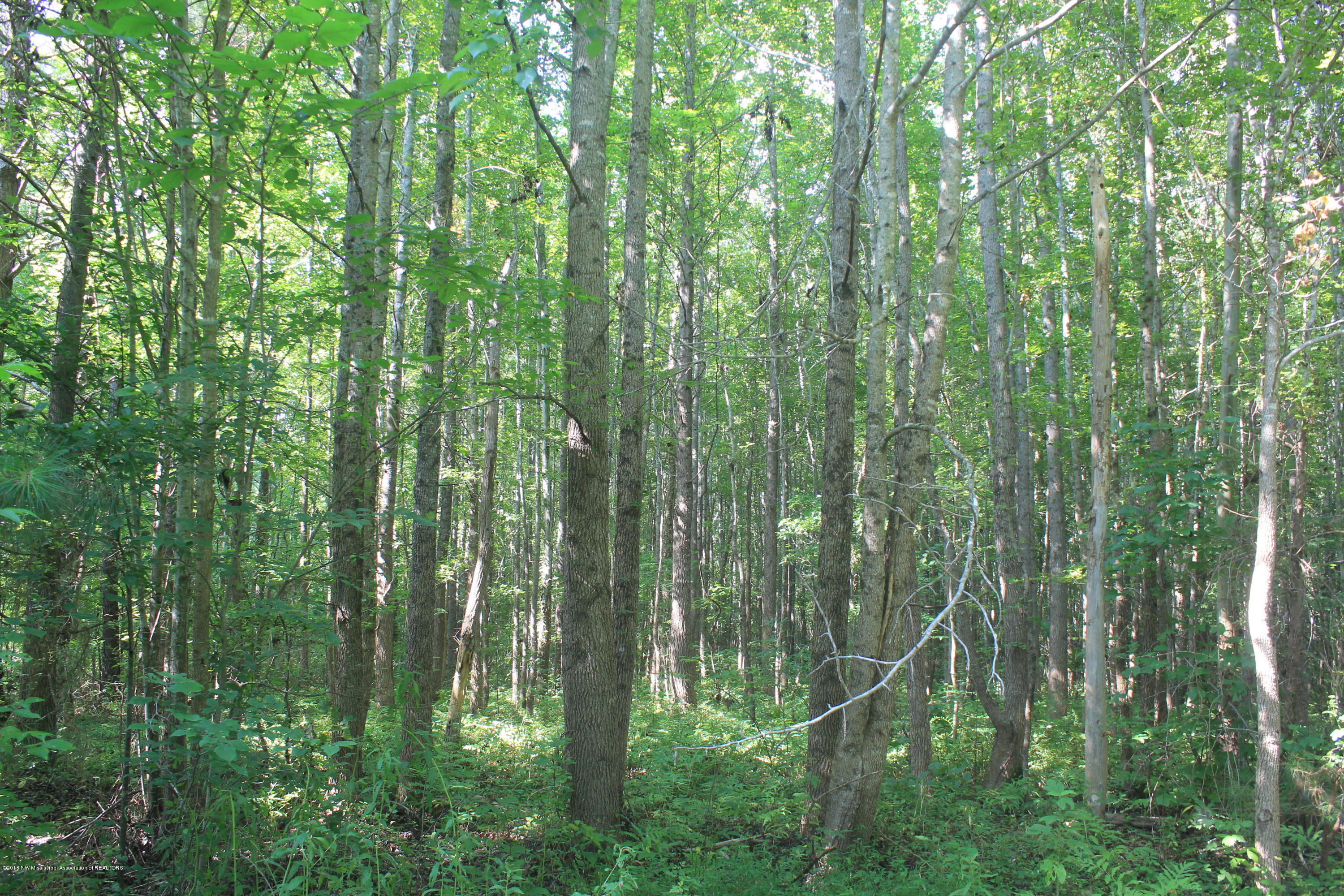 280 North Red Banks Road Red Banks, MS 38661 - Photo 7 of 23 007
