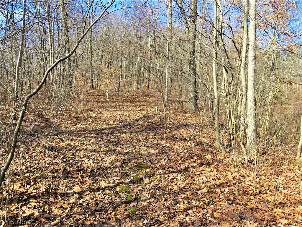 115 Poker Road Southeast Scio, OH 43988 - Photo 3 of 25 Gallery Image 3