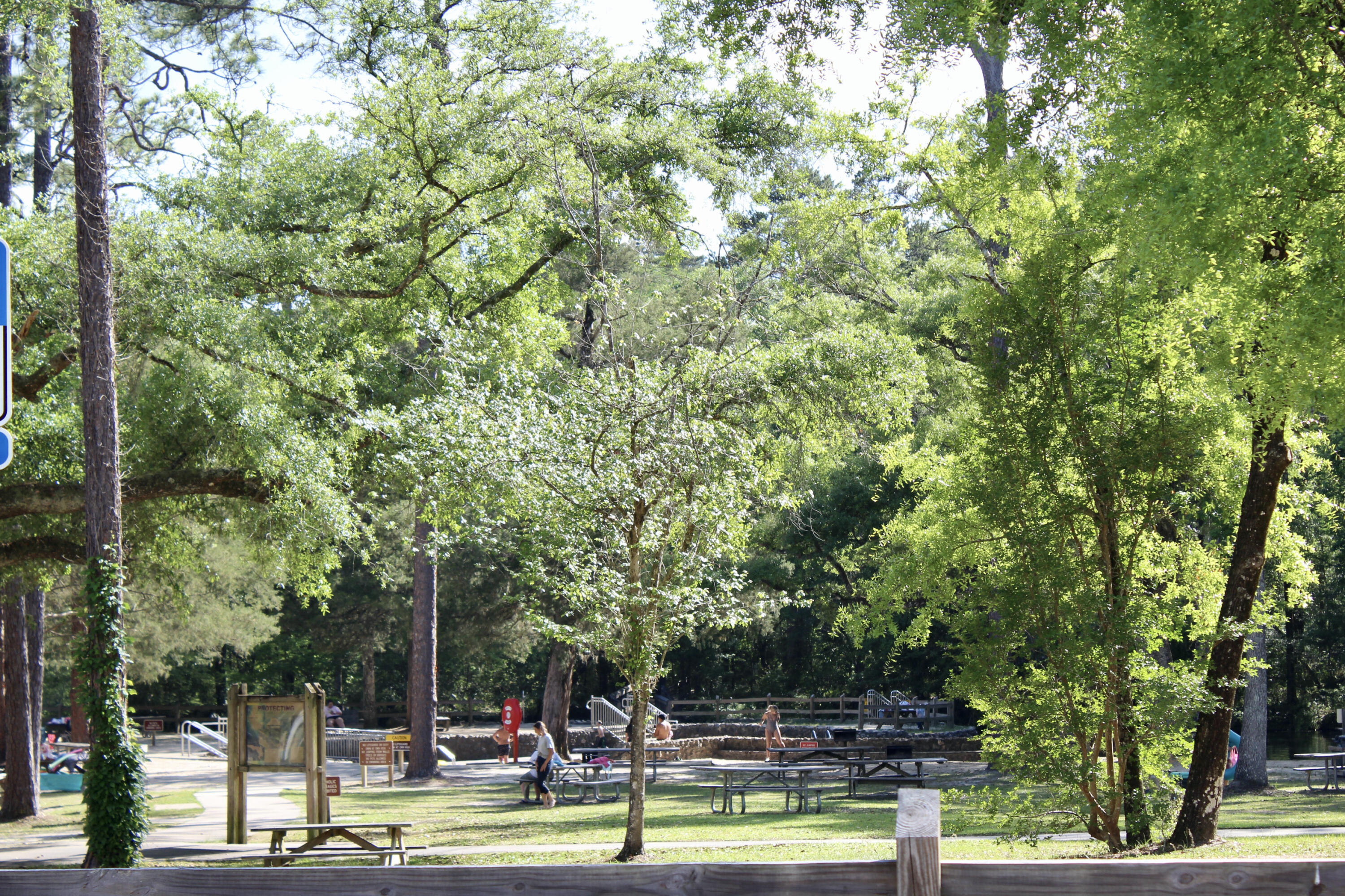 2833 Ponce De Leon Springs Road Ponce de Leon, FL 32455 - Photo 15 of 16 a view of a fountain with tree s