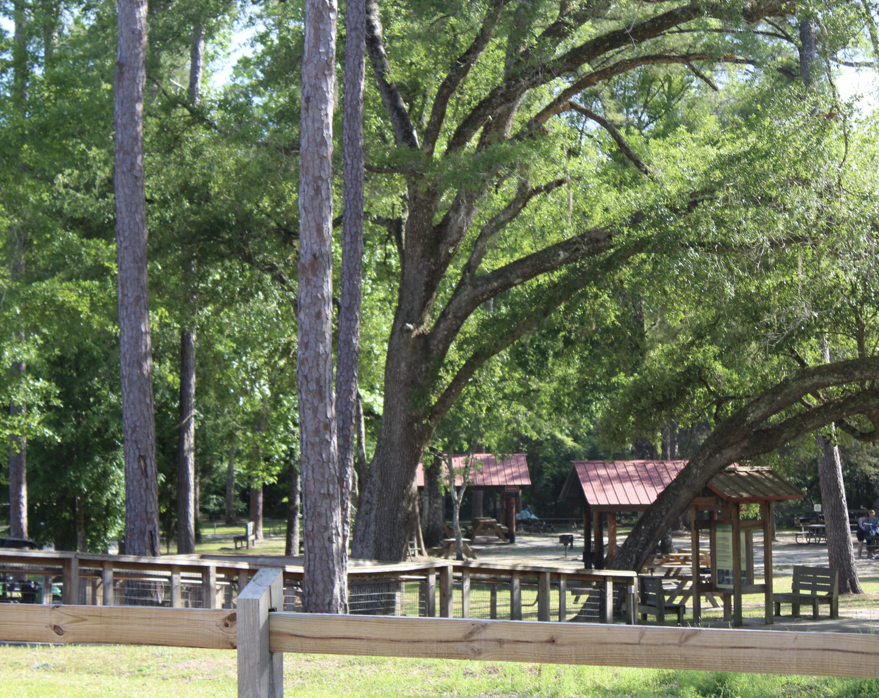 2833 Ponce De Leon Springs Road Ponce de Leon, FL 32455 - Photo 16 of 16