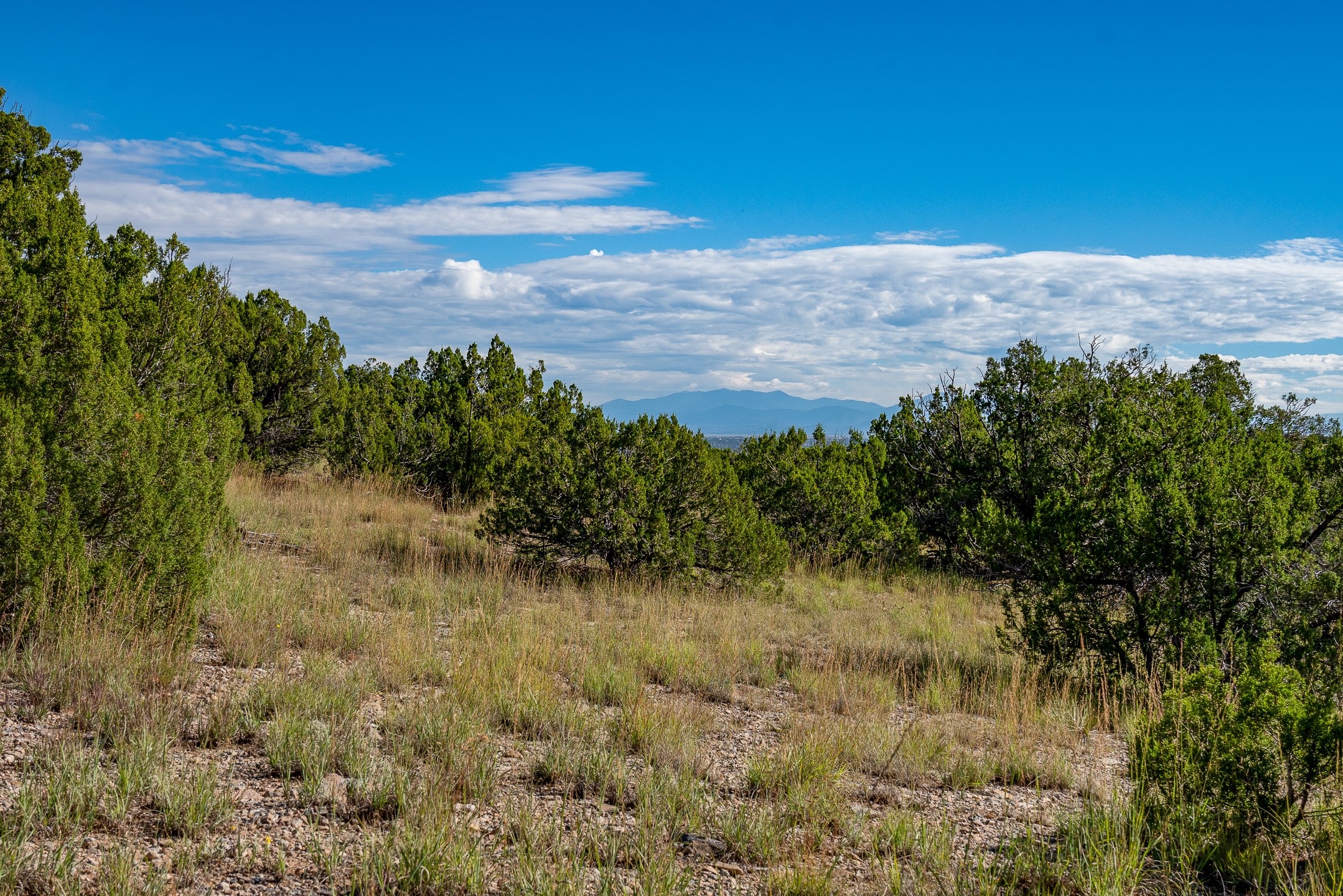 95 Grenfell Ranch Road Cerrillos, NM 87010 - Photo 34 of 47