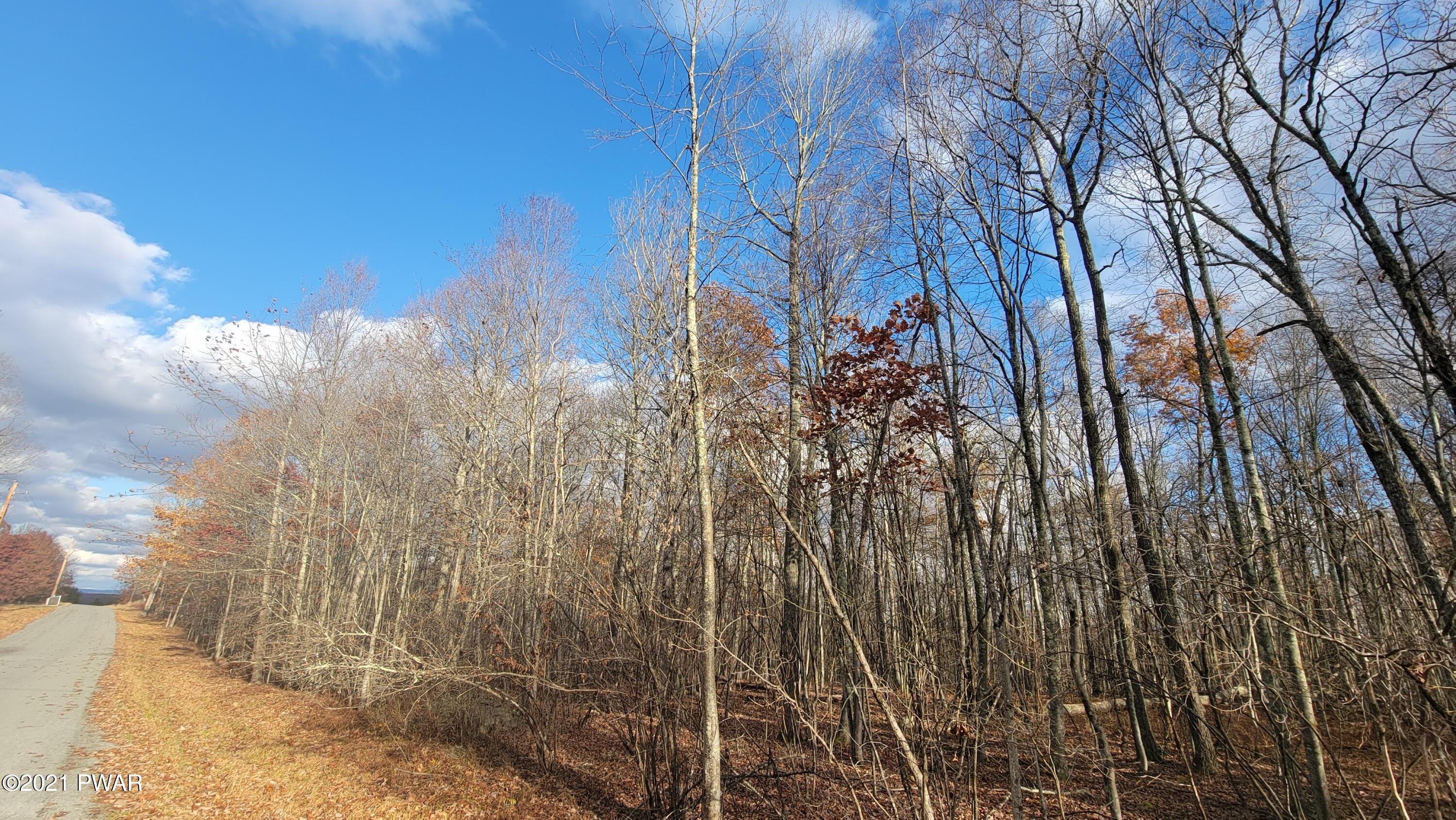 Lot 61 Perry Pond Road Narrowsburg, NY 12764 - Photo 6 of 19