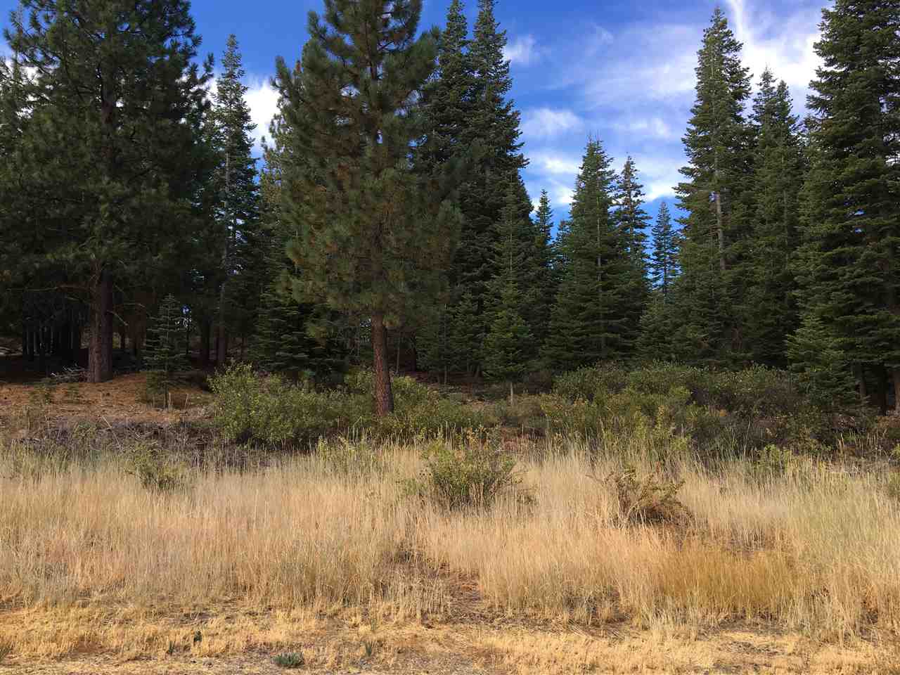 11140 Rancho View Court Truckee, CA 96161 - Photo 1 of 14 Gallery Image 1