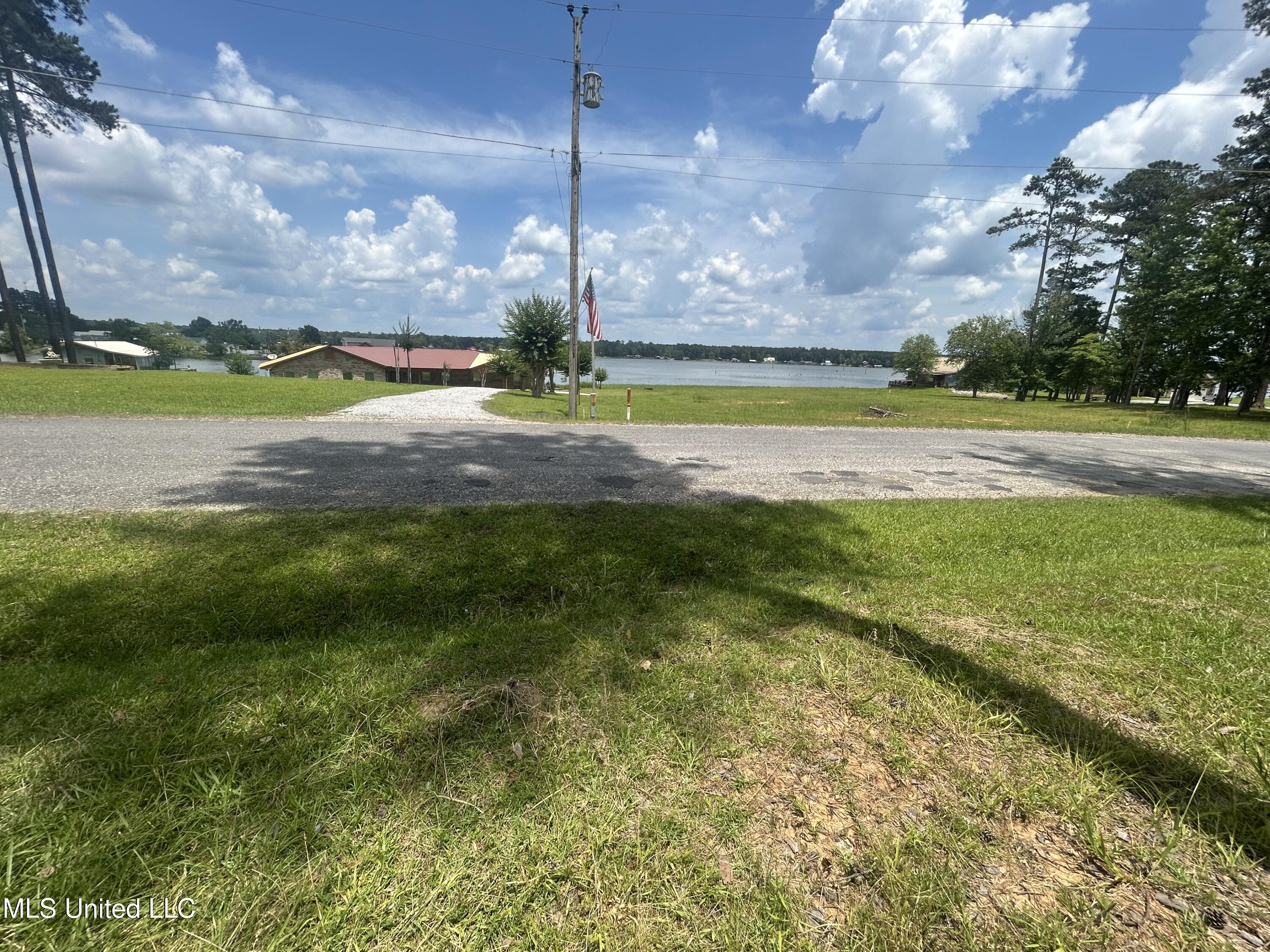 0 Pine Tree Road Pachuta, MS 39347 - Photo 4 of 6 IMG_9412