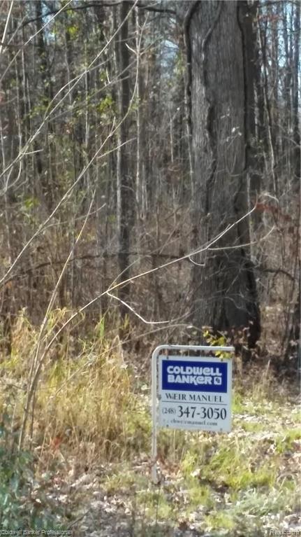 Eight West Eight Mile Road South Lyon, MI 48178 - Photo 1 of 58