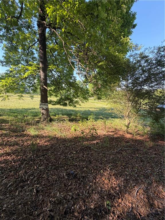 0 My Mountain Road Morganton, GA 30560 - Photo 5 of 19 a big yard with lots of green space