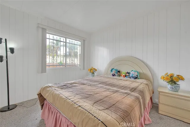 a view of a tree with plants