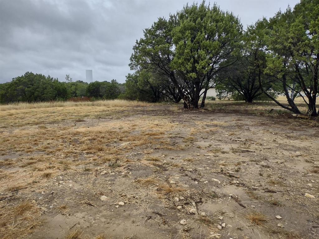 1007 West Apache Trail Granbury, TX 76048 - Photo 1 of 12 a view of outdoor space and yard