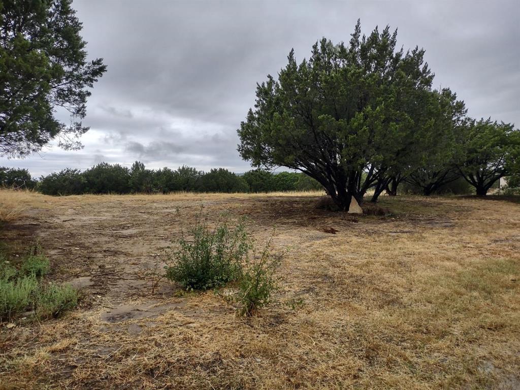 1007 West Apache Trail Granbury, TX 76048 - Photo 11 of 12 a view of lake with tree