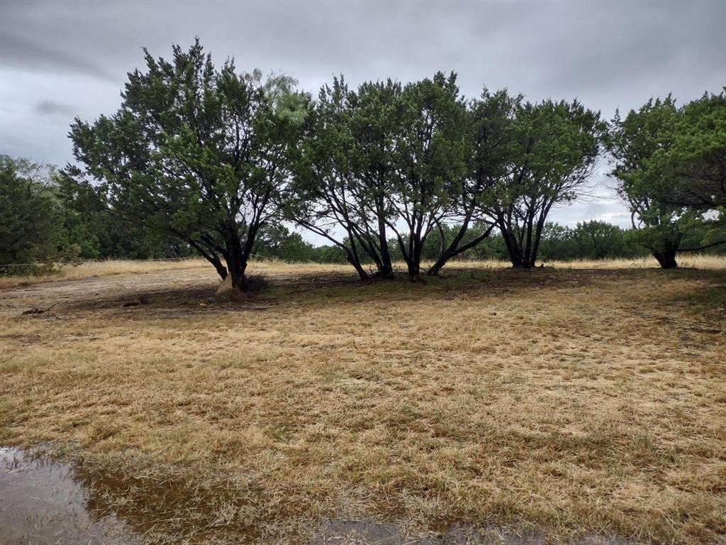 1007 West Apache Trail Granbury, TX 76048 - Photo 12 of 12 a view of a yard with a tree