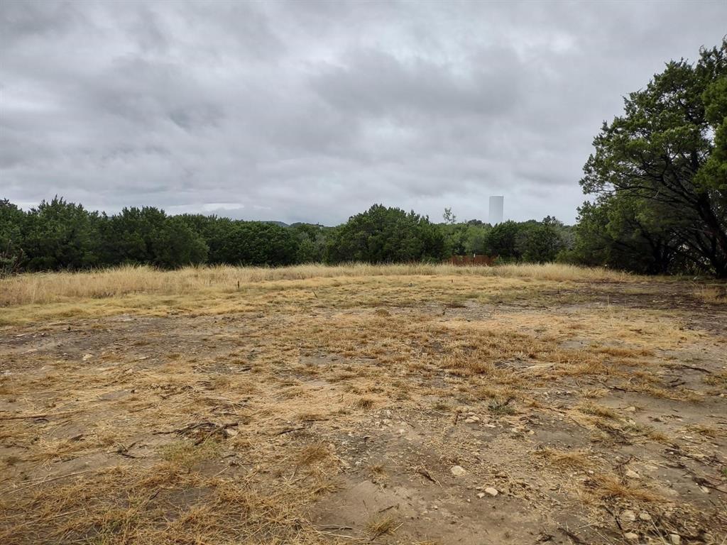 1007 West Apache Trail Granbury, TX 76048 - Photo 3 of 12 a view of lake