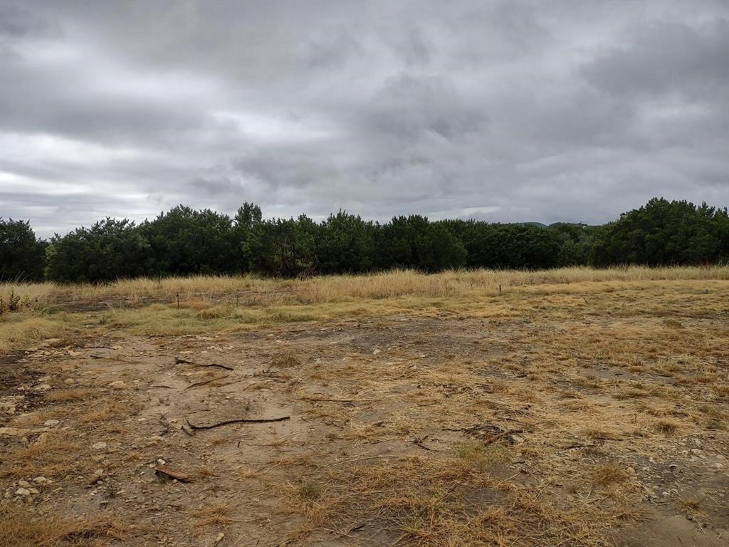 1007 West Apache Trail Granbury, TX 76048 - Photo 4 of 12
