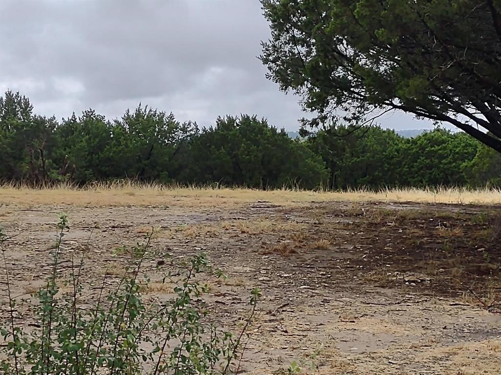 1007 West Apache Trail Granbury, TX 76048 - Photo 5 of 12 a view of lake