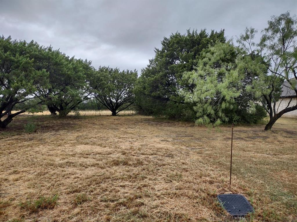 1007 West Apache Trail Granbury, TX 76048 - Photo 6 of 12 a view of a field with trees in the background