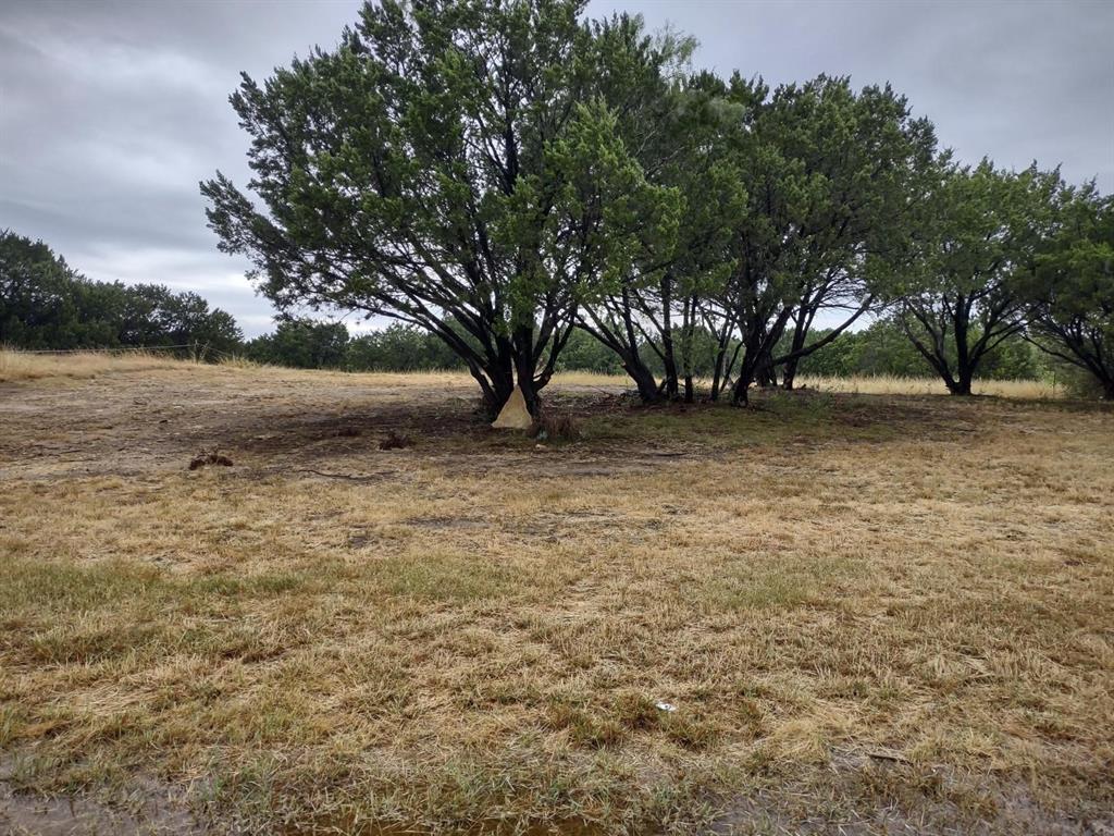1007 West Apache Trail Granbury, TX 76048 - Photo 7 of 12 a view of backyard with large trees