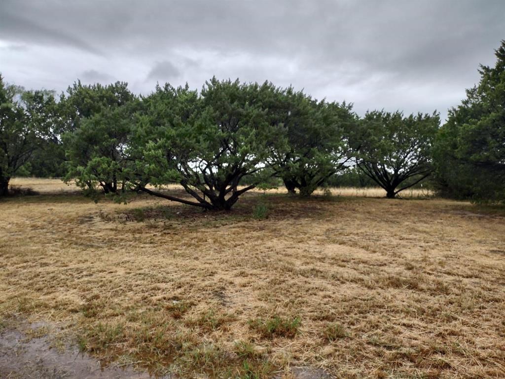 1007 West Apache Trail Granbury, TX 76048 - Photo 10 of 12 a view of outdoor space with trees
