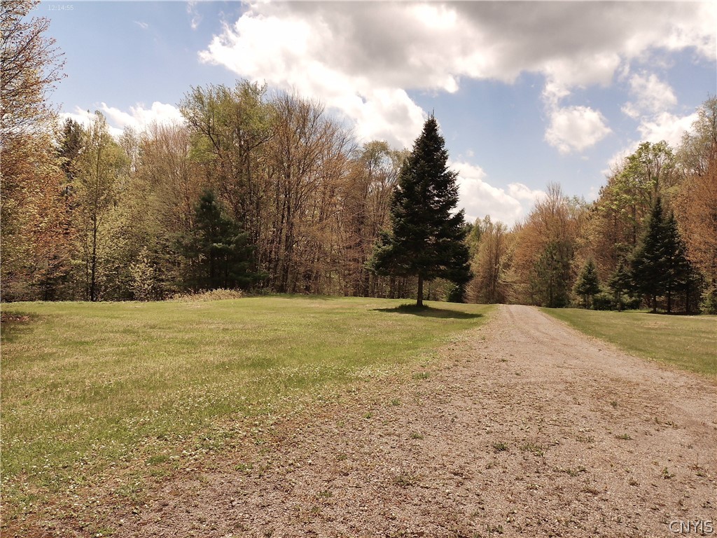 158 Mac Arthur Road Russia, NY 13324 - Photo 44 of 50 long driveway to road. Very secluded 5 Acres