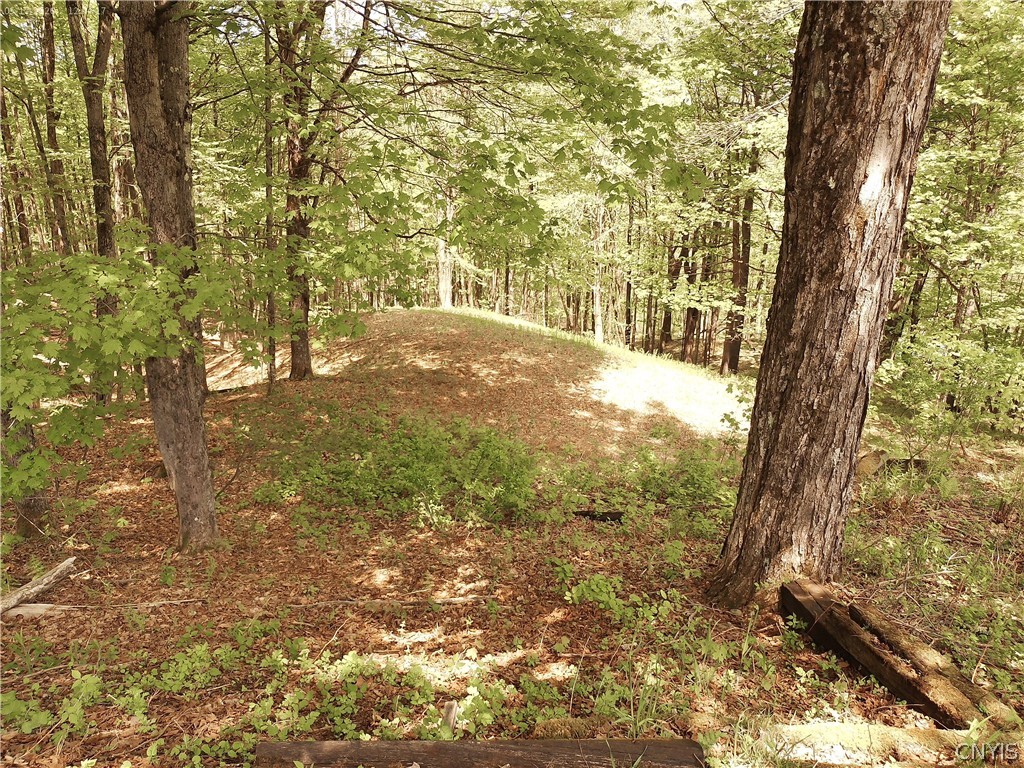 158 Mac Arthur Road Russia, NY 13324 - Photo 45 of 50 rear of cabin, a level landing area down the steep