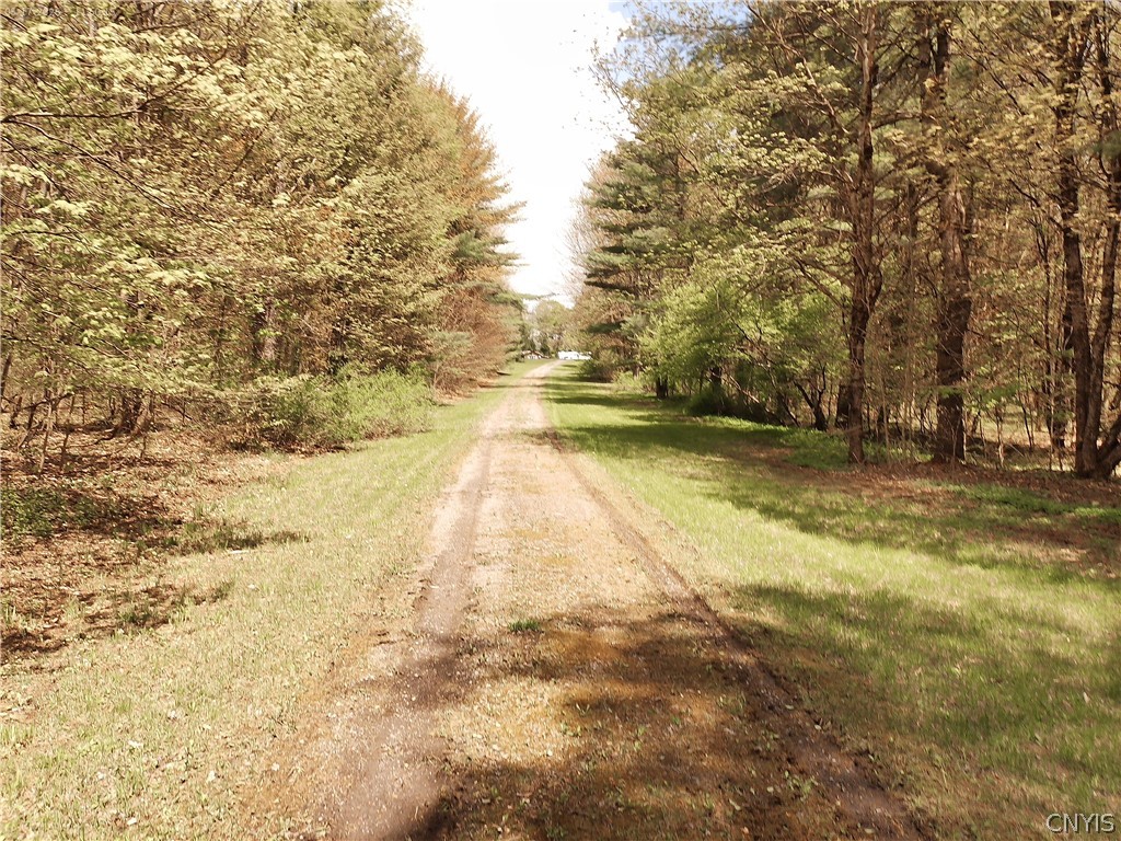 158 Mac Arthur Road Russia, NY 13324 - Photo 48 of 50