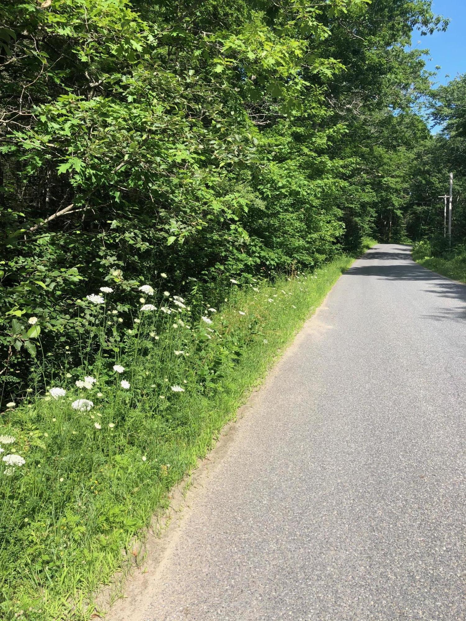 0 Keene Neck Road Bremen, ME 04551 - Photo 4 of 4 Keene Neck Rd 4