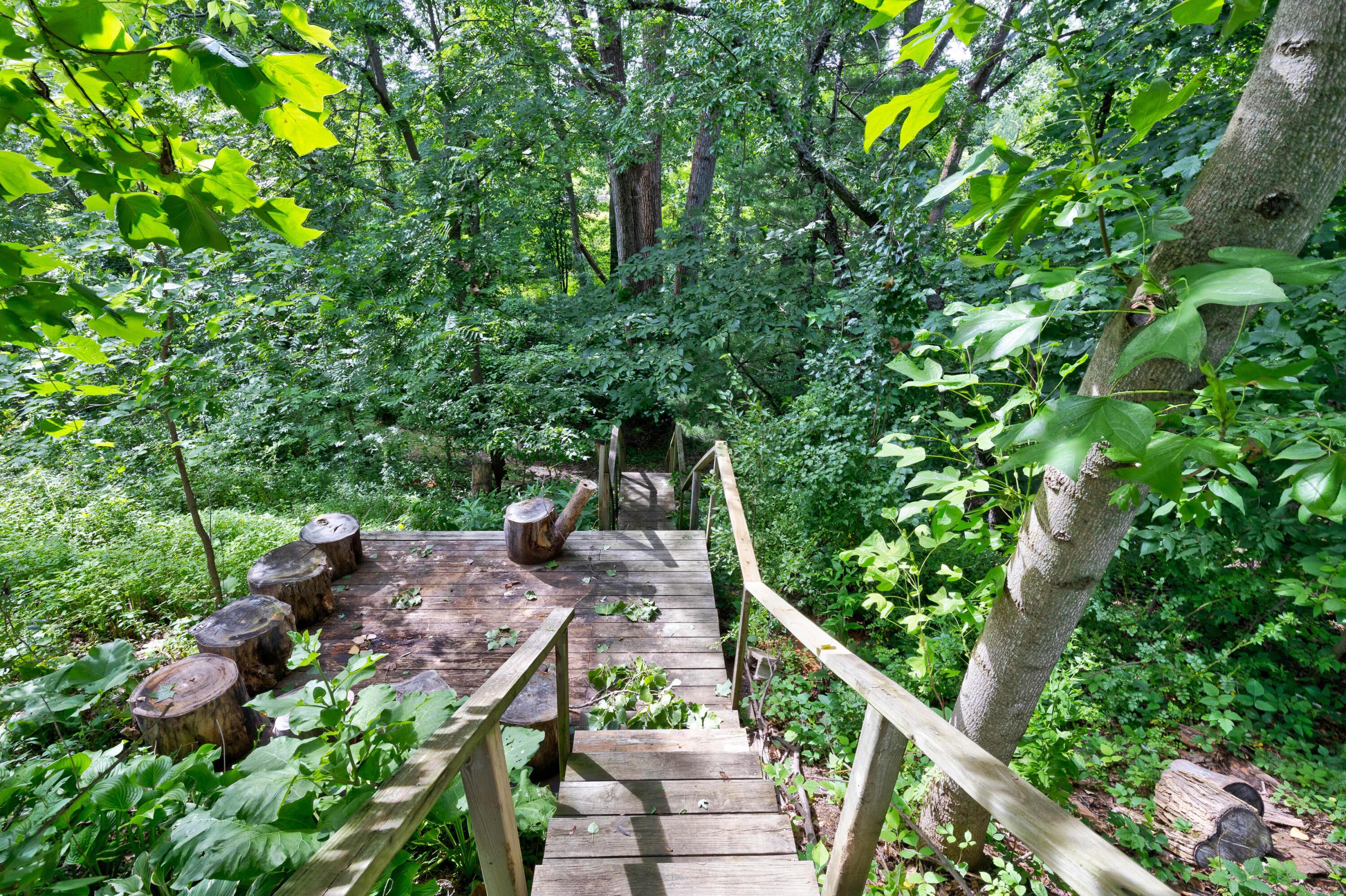 3324 Sunbury Road Galena, OH 43021 - Photo 38 of 56 Steps down to Ravine