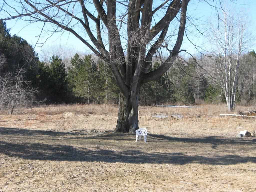5584 West 12 Road Mesick, MI 49668 - Photo 39 of 73 1796970-44.JPG