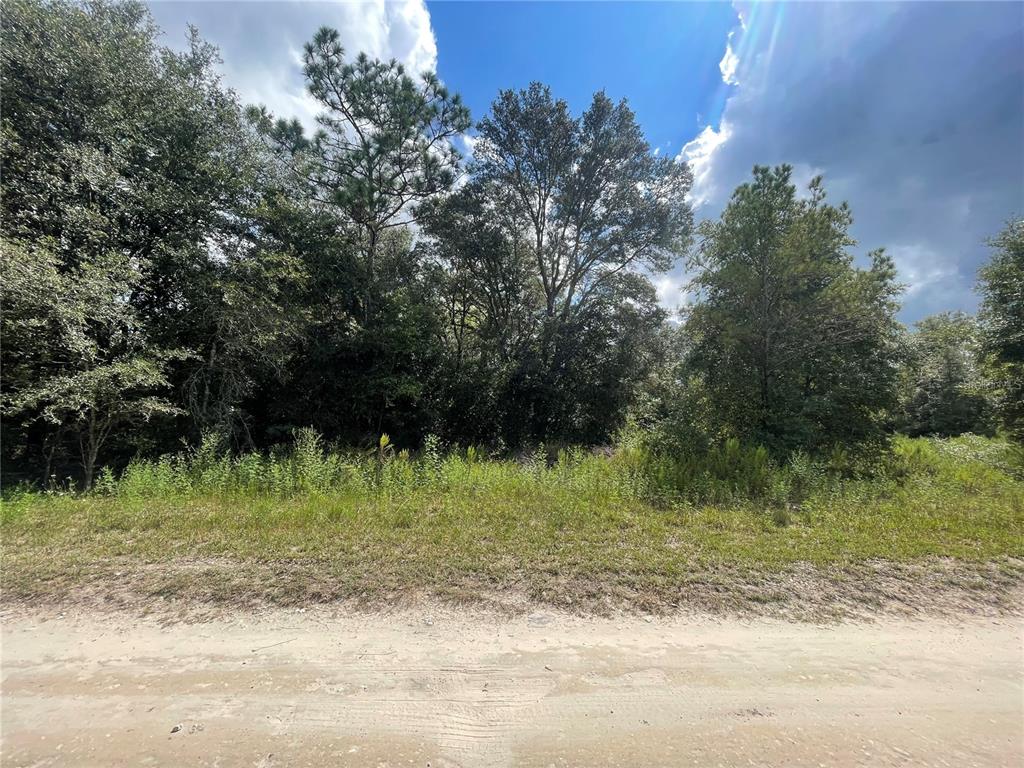 144 Southwest Sw Court Ocala, FL 34481 - Photo 1 of 1