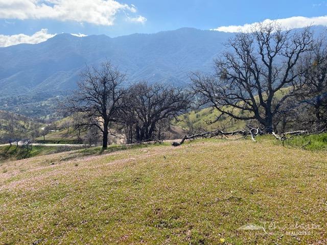 0 Piute Meadows Road Caliente, CA 93518 - Photo 14 of 18 Gallery Image 14