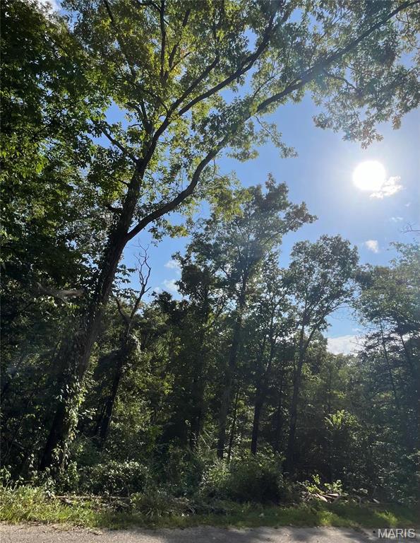 0 2nd Street Rockaway Beach, MO 65740 - Photo 1 of 1