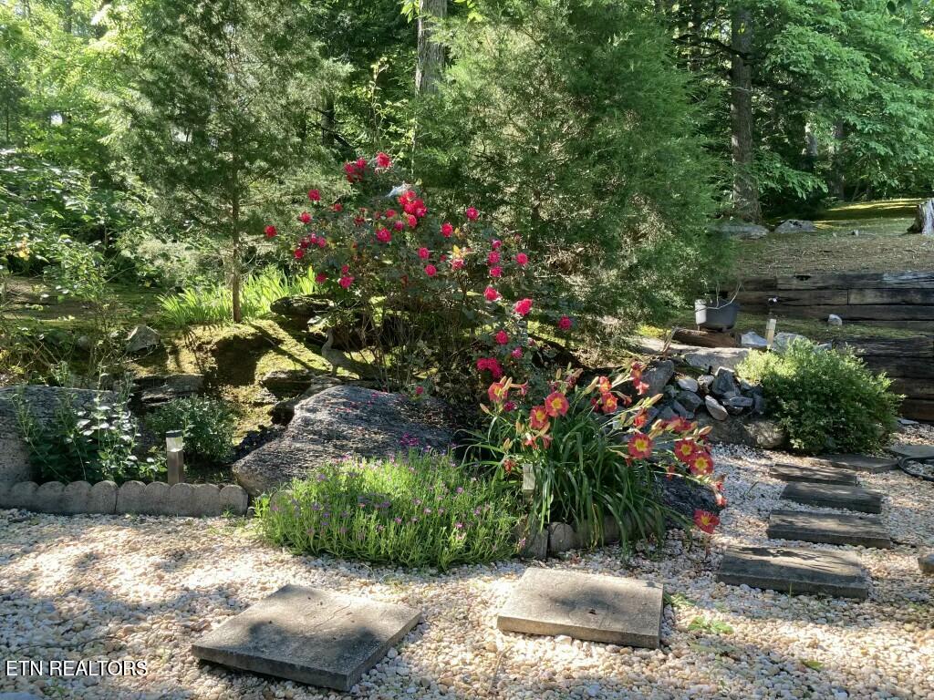 733 Cavern Road Townsend, TN 37882 - Photo 49 of 55 9EFEE556-07E6-4D1F-95DC-08EC7F671ABB_1_1