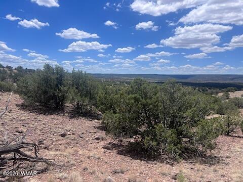 41 Indian Drive Concho, AZ 85924 - Photo 8 of 26 Where the deer and antelope roam
