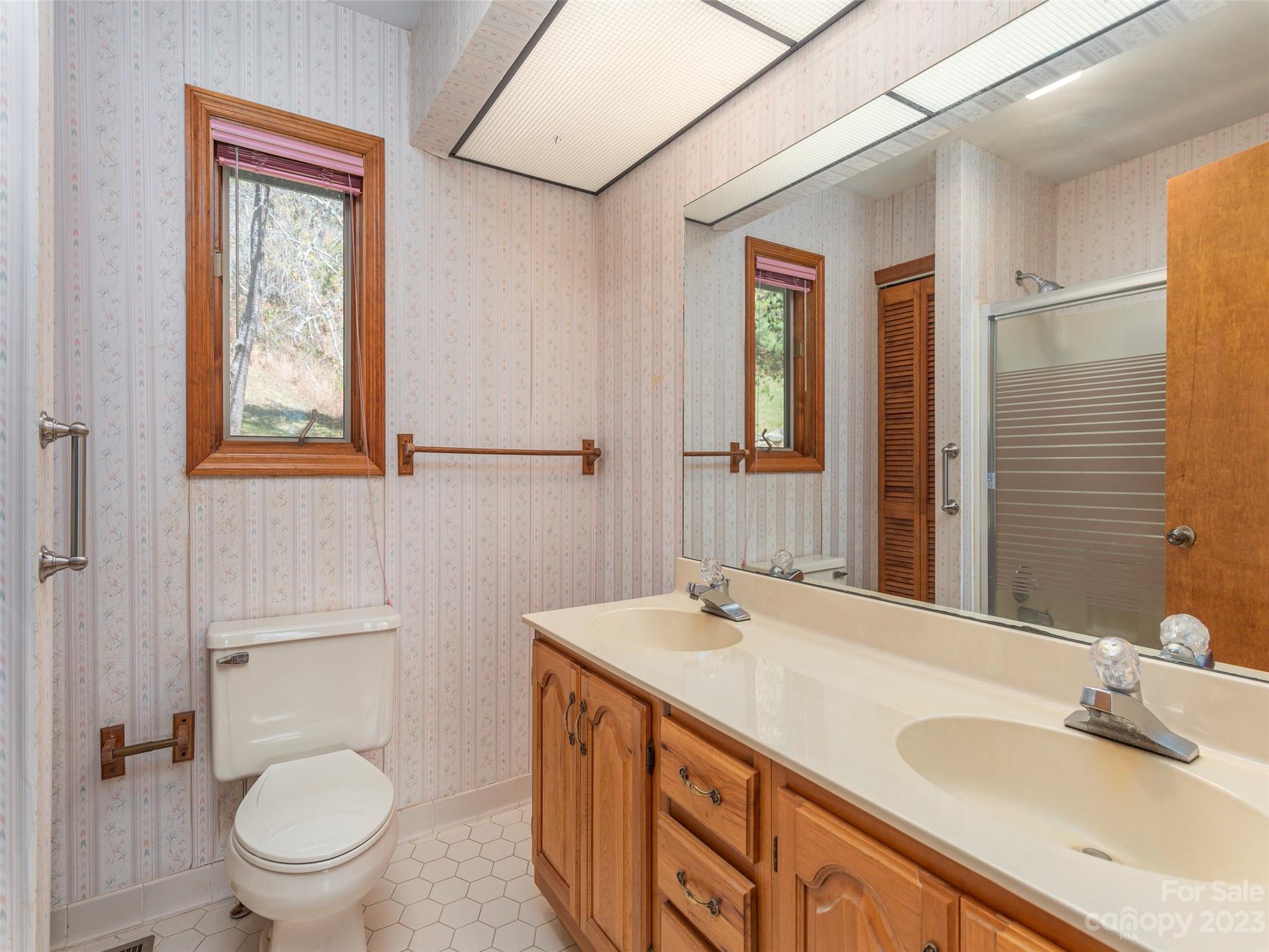 256 Goldfinch Lane Clyde, NC 28721 - Photo 17 of 31 a bathroom with a granite countertop sink a toilet and a mirror
