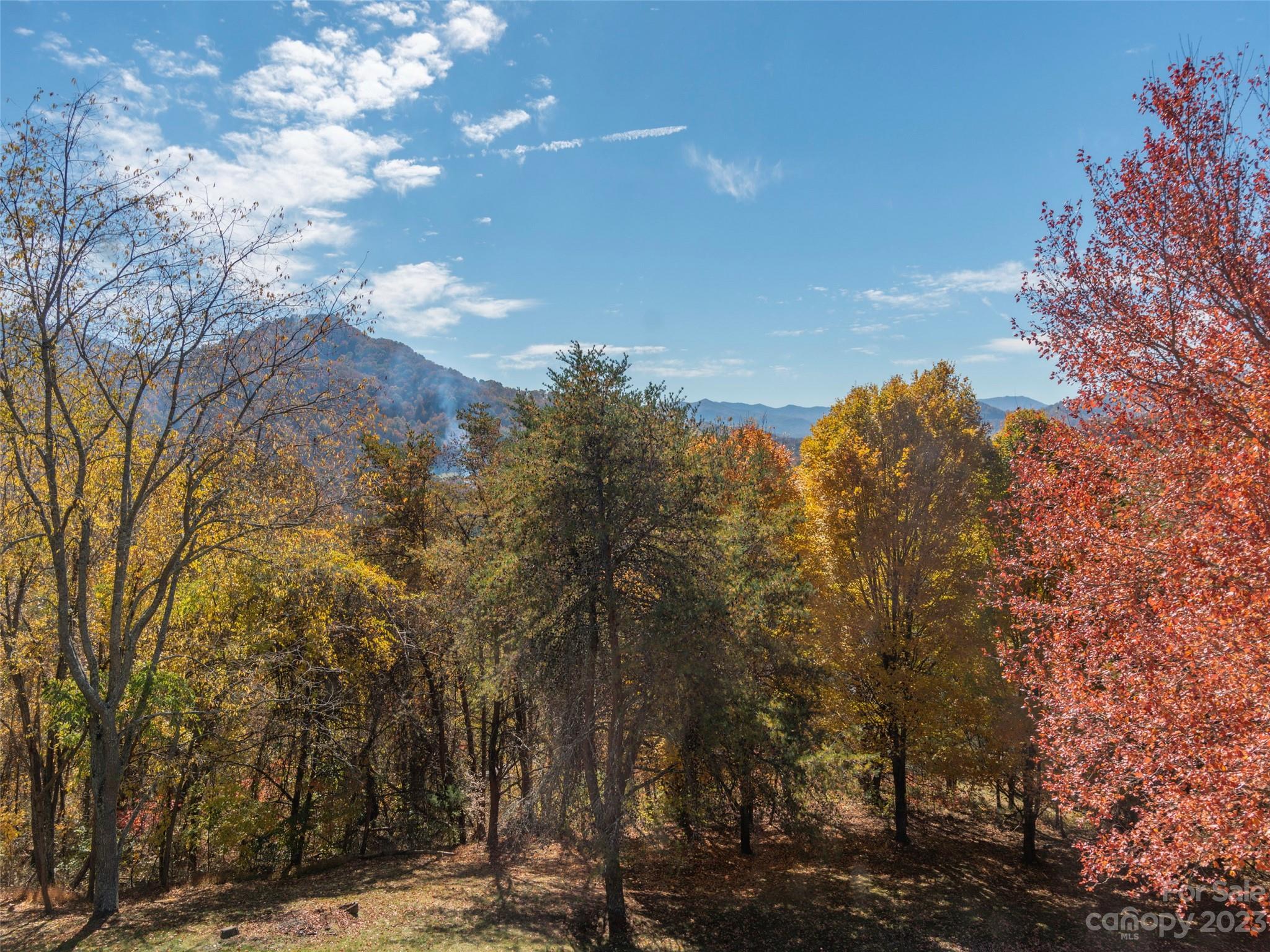 256 Goldfinch Lane Clyde, NC 28721 - Photo 21 of 31 a view of a yard with lots of trees