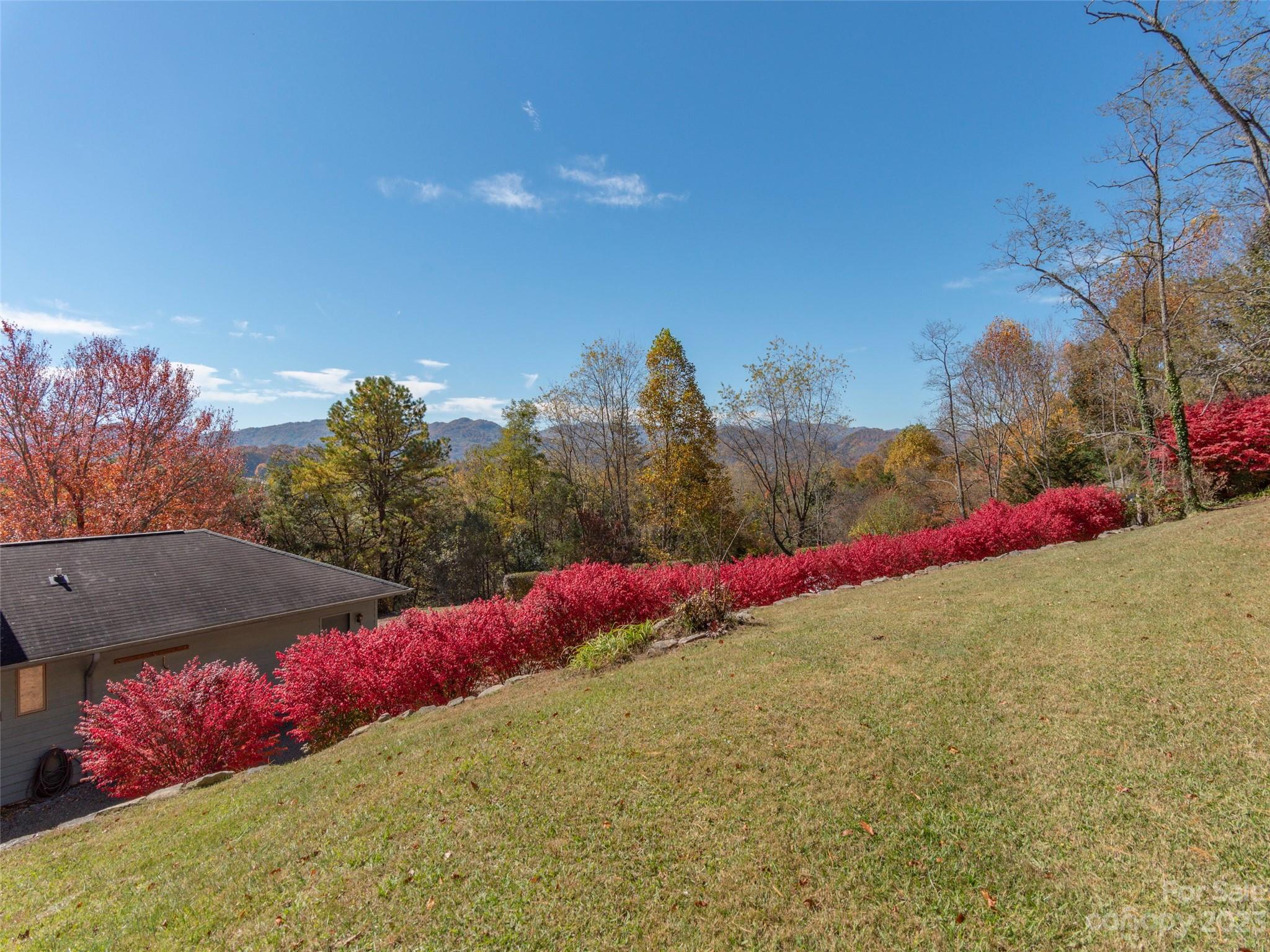 256 Goldfinch Lane Clyde, NC 28721 - Photo 26 of 31 a view of road and yard