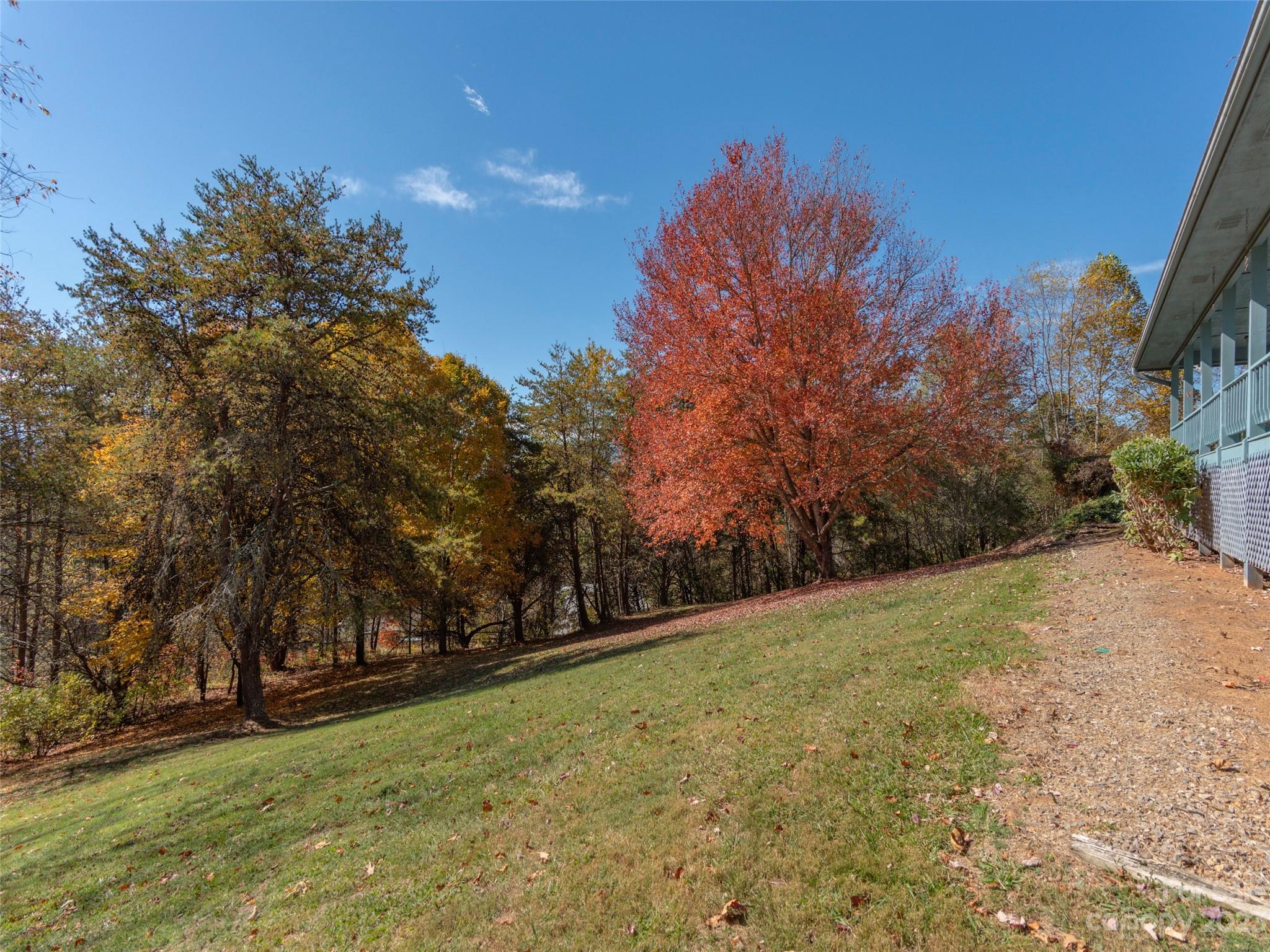 256 Goldfinch Lane Clyde, NC 28721 - Photo 28 of 31 a view of a yard with a trees