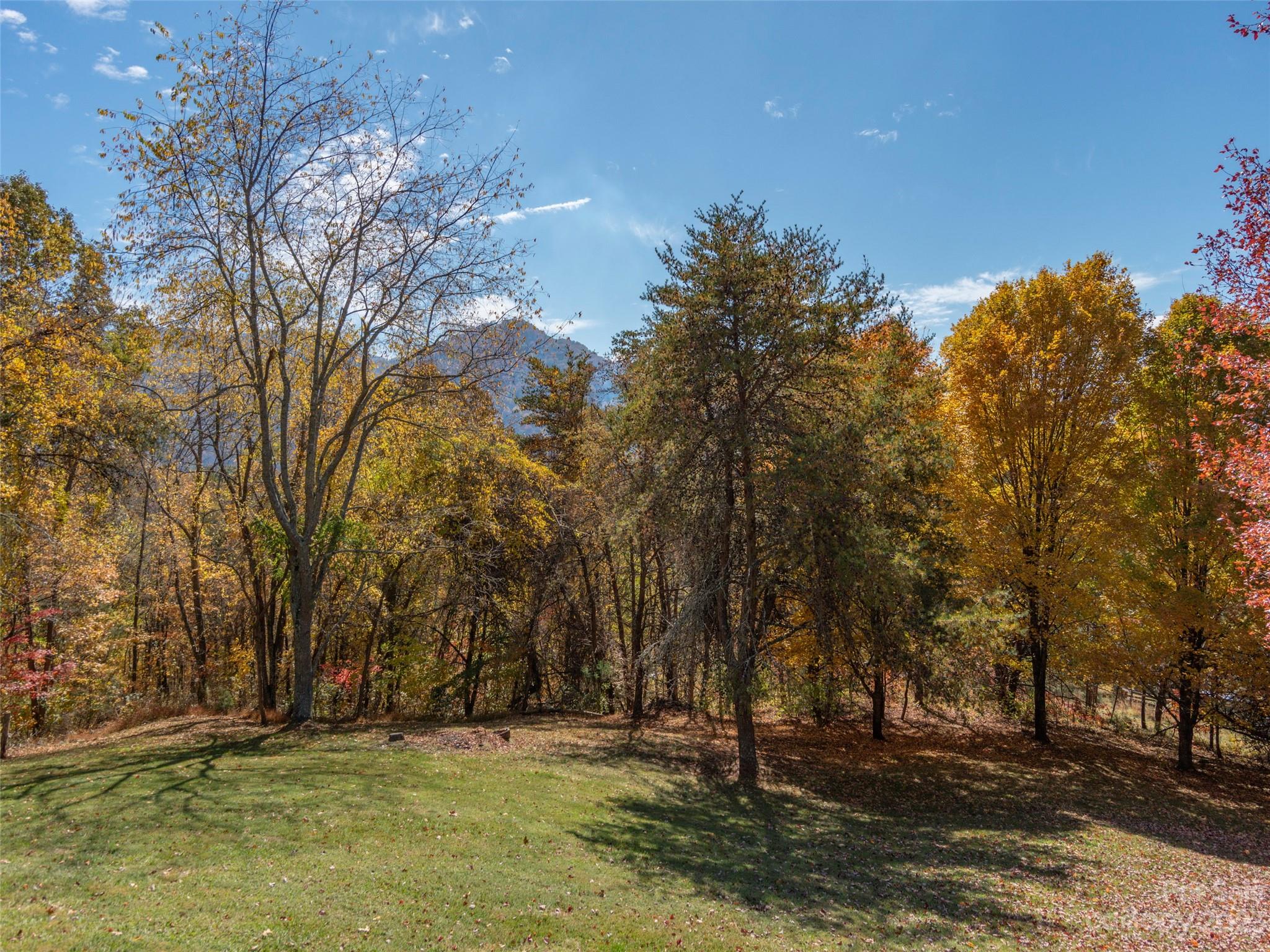 256 Goldfinch Lane Clyde, NC 28721 - Photo 3 of 31 a view of outdoor space with trees