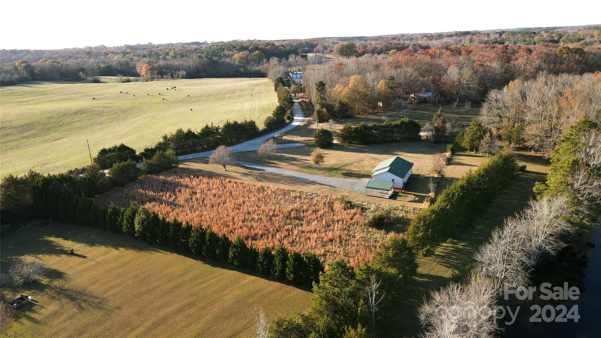 2172 Robert Usher Road Lancaster, SC 29720 - Photo 43 of 46